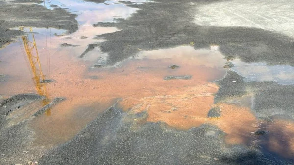 Клязьминское водохранилище переполнено опасными ба Клязьминское водохранилище переполнено опасными ба